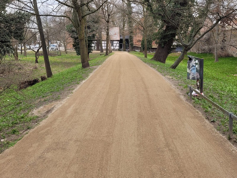 Radweg mit Baumscheiben